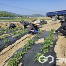 감물면사무소 이미지