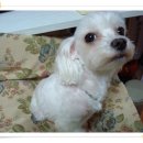 반포1동 이미지