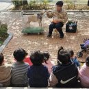 파란나라어린이집 이미지