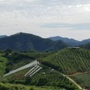 매산농장 네이버블로그