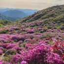 포시즌 황매산 호스텔 이미지