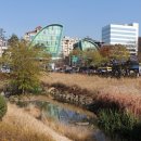 남산공원 이미지