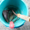 옛집황토방2 이미지