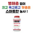 광명농약사