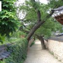 산청문화예술회관 소공연장 이미지