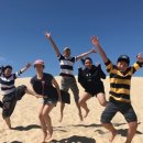 낙타와돌고래 이미지