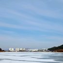 행정사신정호사무소 이미지