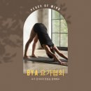 알아차림 요가 | [성남요가지도자과정] 요가TTC ,요가협회 후기