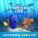 도리라이프 이미지