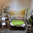 몽띠아모 이미지