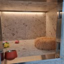 켈리 독, 강남 애견호텔 애견유치원 이미지