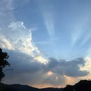 Living in Christ 이미지