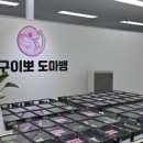 우리집도마뱀파충류샵