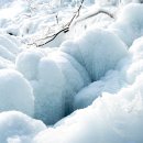 참샘농원 이미지