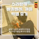 개미 | [스리랑카에서 살아남기] 바퀴벌레, 개미 박멸 성공 후기