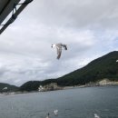 유람선매점