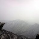 계룡산약국 이미지