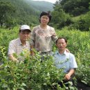 이종범농장 이미지