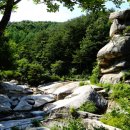 민들래민박 이미지