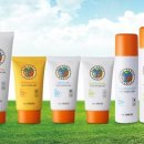 파워라인 이미지