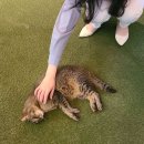 하남대로302번길 이미지