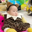 거북이 뿔났다 이미지