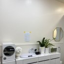 허그댕댕 이미지