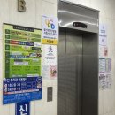 울산 화봉동 속눈썹 연장 미쁨 자연스러운 눈매 완성 솔직 후기