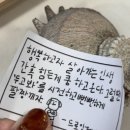 감추사입구주차장 | 묵호! 더블로 가 2박3일 동해여행