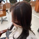 벨라헤어 | 모라미용실 벨라뷰티룸헤어 뿌리펌 만족 후기 주차정보