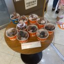 던킨도너츠센텀시티홈플러스
