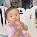 가든사 | 내돈내산) 이앓이 안녕~ 퍼기 츄러스 티딩러스크 홀더&amp;퍼기x래퍼티스가든 바나나 티딩러스크