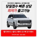 [야간] 캘리그라피 | 팰리세이드 캘리그래피 선구매 개인사업자 장기렌트 출고 후기
