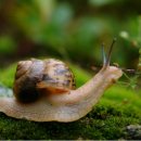 화광중학교 이미지