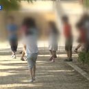 보성남초교, 보성초 이미지