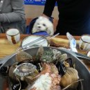 파인빌펜션 이미지