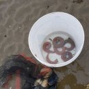 샾 펜션 이미지