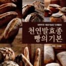 이프애드 이미지
