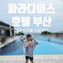 오션 - 부산진구 진연로 29-2 | 파라다이스 호텔 부산 야외 오션풀 이용 후기