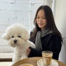 크림라벨creamlabel | 성수 애견 동반 카페 추천｜마일스톤 엘레먼츠 크림라벨 솔직 후기