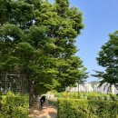 낙동강관리본부 화명생태공원 7 이미지