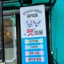 별이알이 댕댕샵 이미지