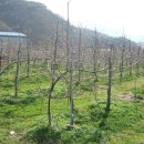 김영석농장 이미지