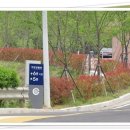 GS25(마산상남점) 이미지