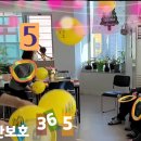 청춘풍선 이미지