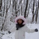 대관령가는길 이미지