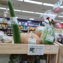 포일농장 이미지