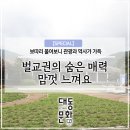홍암나철기념관 | 벌교가볼만한곳 관광과 역사가 가득한 베스트 추전지