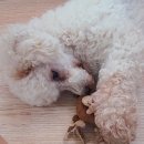 동암농장 이미지