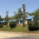 팔탄초등학교대방분교장 이미지